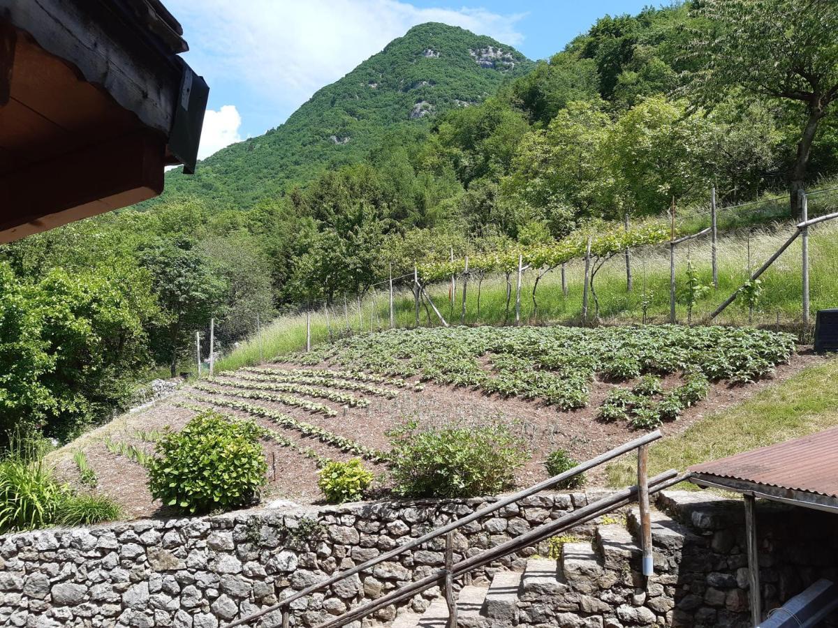 Ca' Berti Appartamento Con Terrazza Ville Del Monte テンノ エクステリア 写真